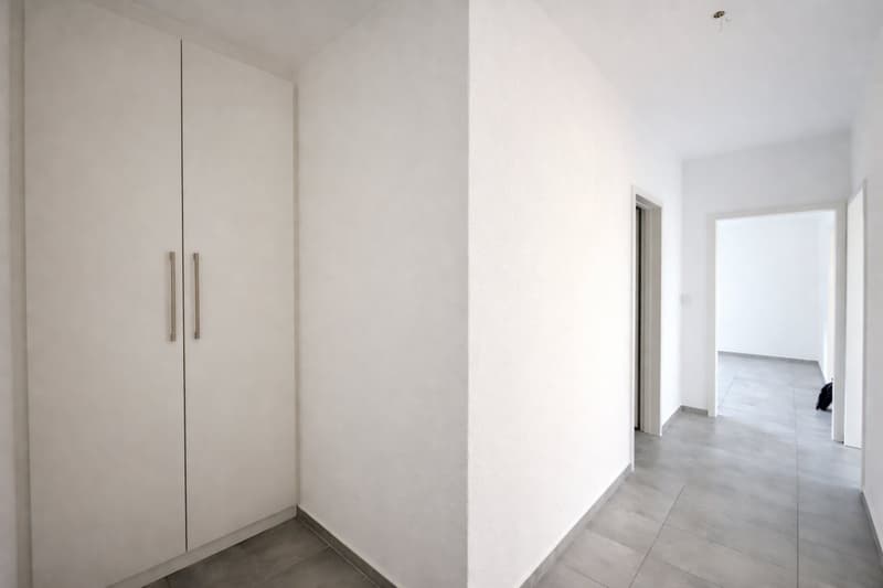Accogliente appartamento 3.5 locali a Bellinzona (3)