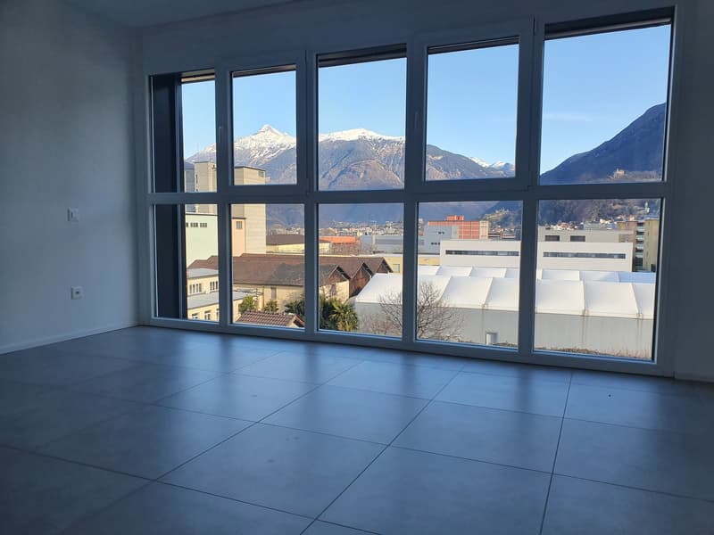 Luminoso 3.5 locali con ampia terrazza (7)