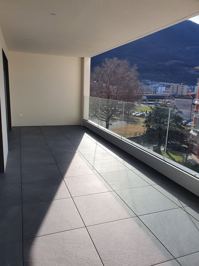 Luminoso 3.5 locali con ampia terrazza (2)