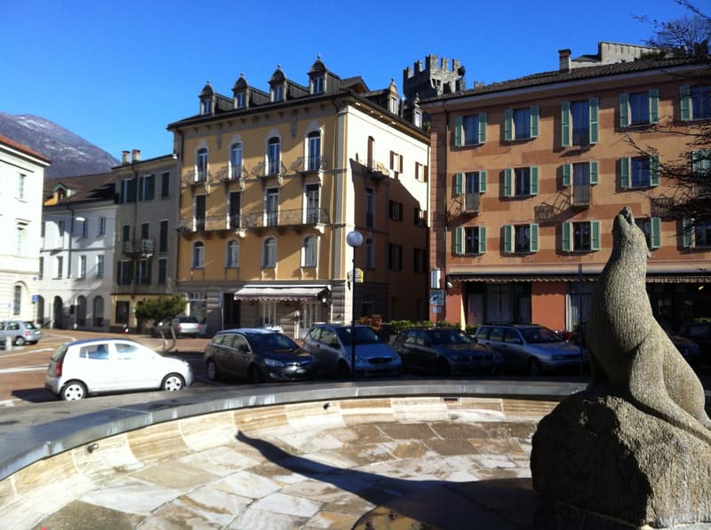 Accogliente appartamento di 2.5 locali nel cuore di Bellinzona (8)
