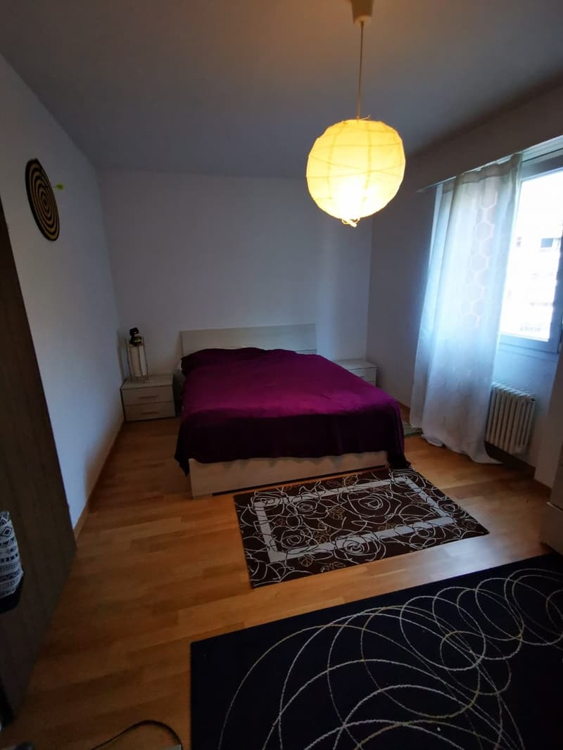 Luminoso appartamento di 2.5 locali a Bellinzona (6)