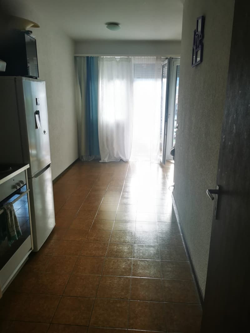 Luminoso appartamento di 2.5 locali a Bellinzona (4)