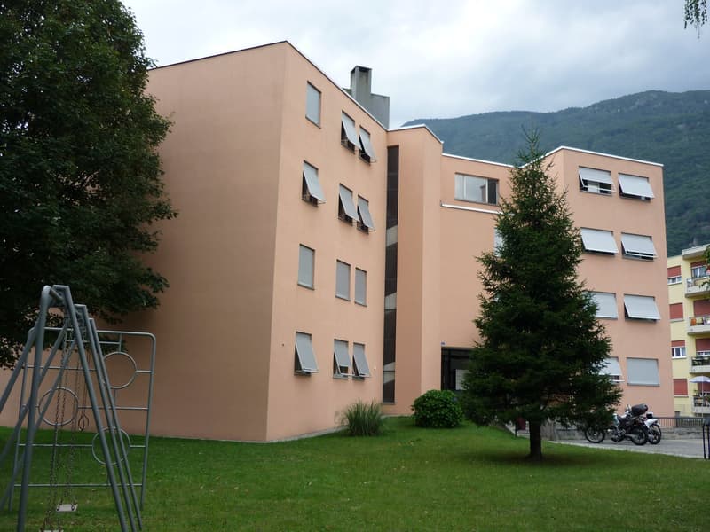 Luminoso appartamento di 2.5 locali a Bellinzona (9)