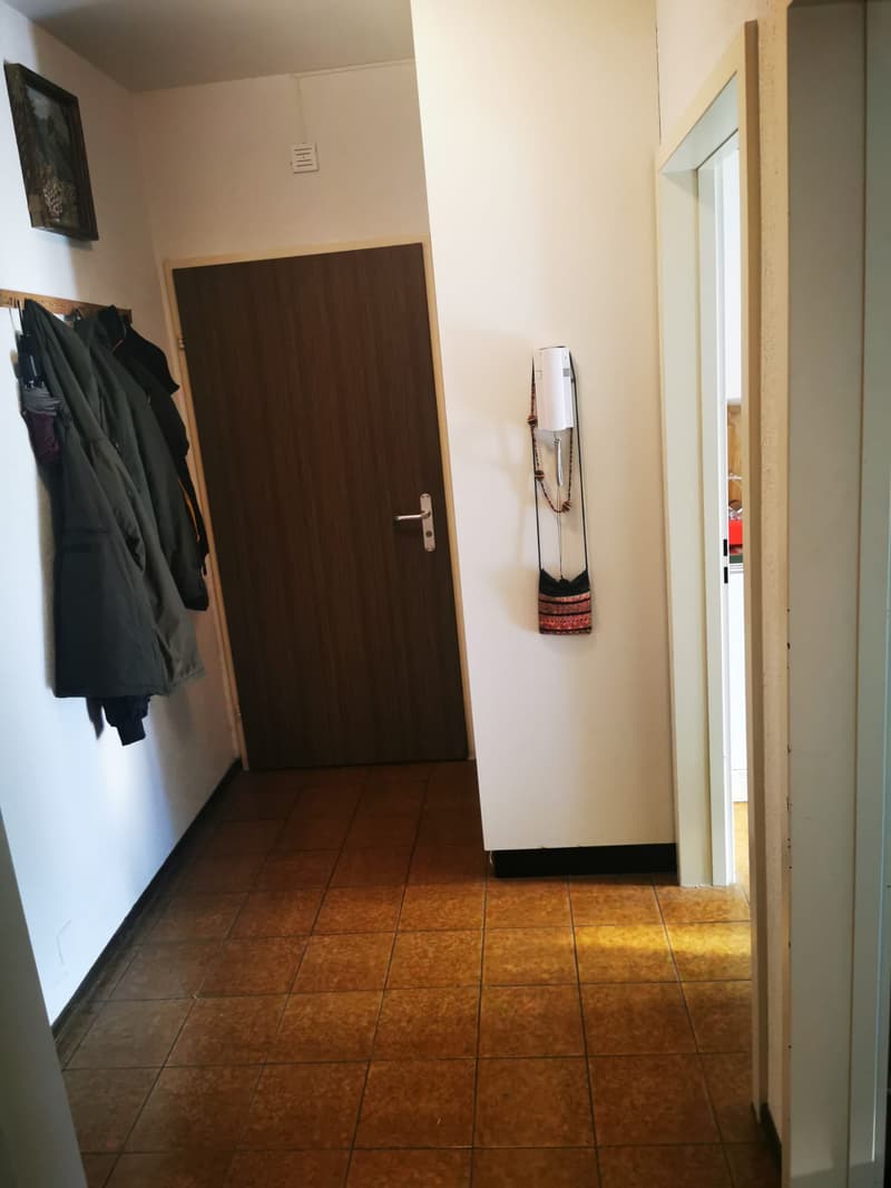Luminoso appartamento di 2.5 locali a Bellinzona (5)