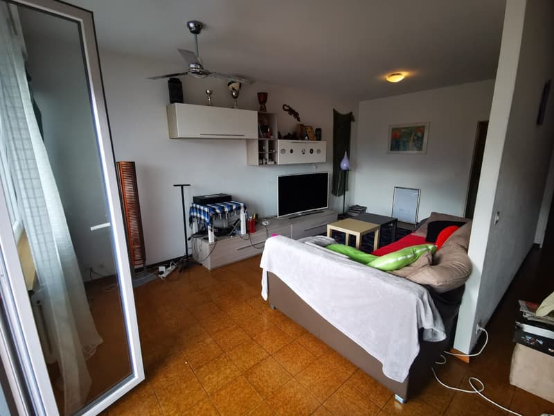 Luminoso appartamento di 2.5 locali a Bellinzona (2)