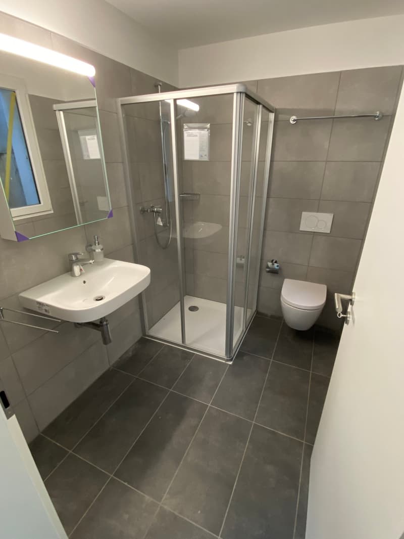 Modern bathroom with a shower stall, sink, mirror, and toilet. Tiled floors and walls.