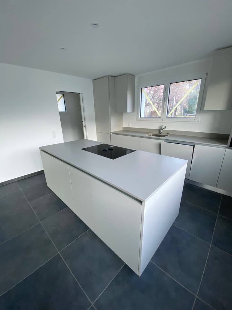 Modern kitchen, kitchen island, black induction stove, white cabinets, gray tiles, large windows