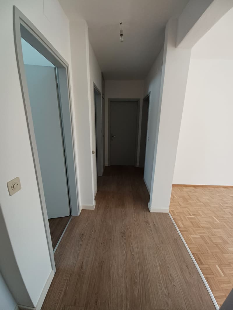 Luminoso appartamento di 3.5 locali ad Arbedo-Castione (4)