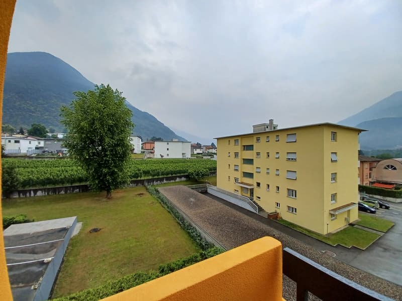 Luminoso appartamento di 3.5 locali ad Arbedo-Castione (9)