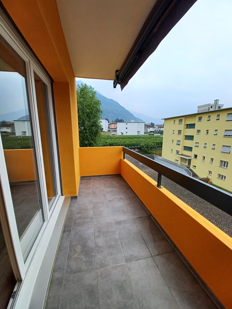 Luminoso appartamento di 3.5 locali ad Arbedo-Castione (8)