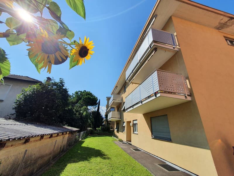 Locarno-Solduno - appartamento di 3.5 locali (1)