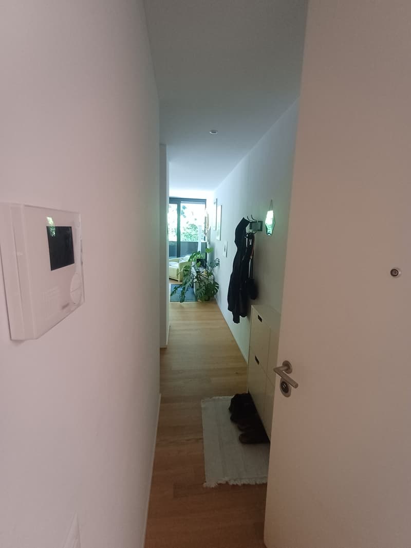 Luminoso appartamento di 2 locali con balcone a Minusio (9)