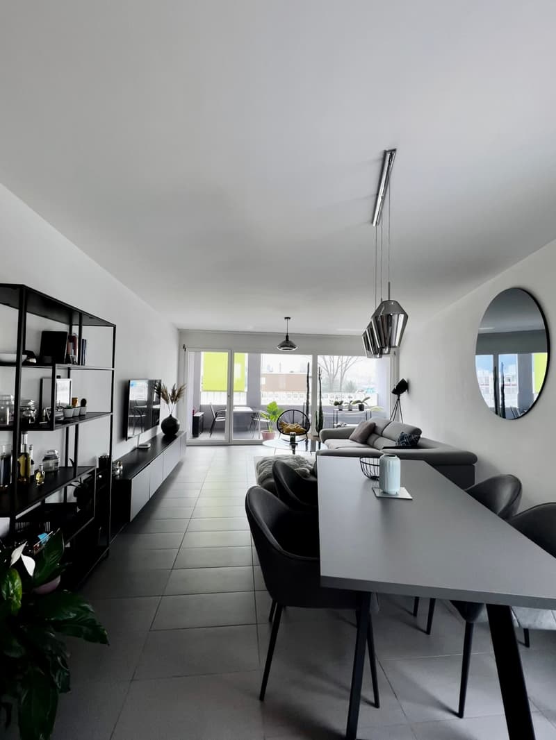 Moderno appartamento 2.5 locali con balcone ad Arbedo-Castione (3)