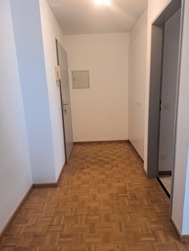 Accogliente appartamento di 2.5 locali a Locarno – Via della Pace (4)