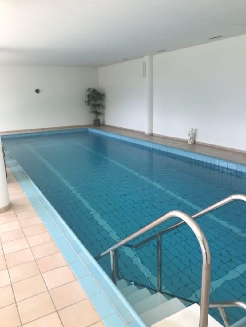 An indoor swimming pool with a blue tiled floor and white walls. There is a handrail on the side of the pool and a plant and statue on the side.