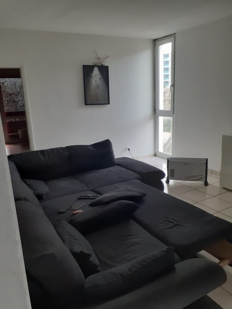 Luminoso appartamento di 3.5 locali con balcone a Paradiso (3)