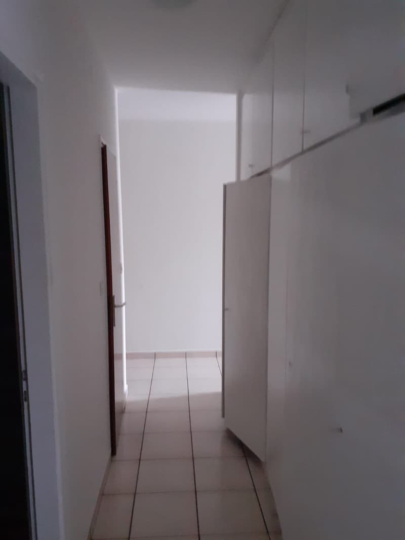 Luminoso appartamento di 3.5 locali con balcone a Paradiso (5)