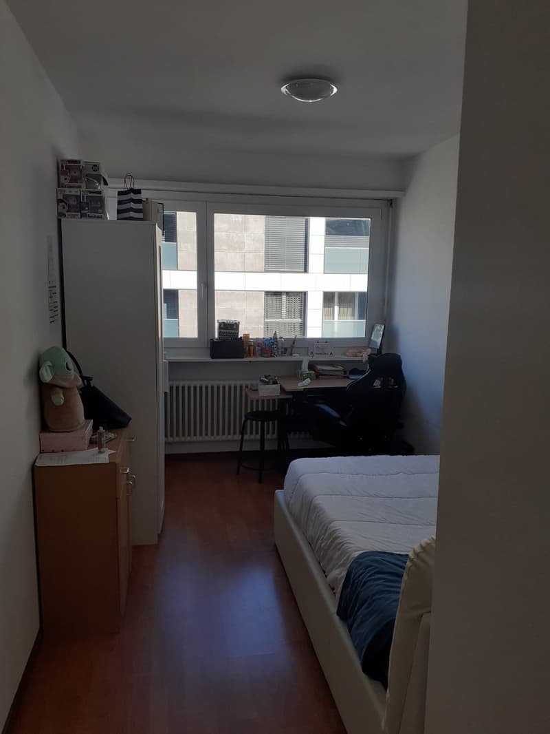 Luminoso appartamento di 3.5 locali con balcone a Paradiso (4)