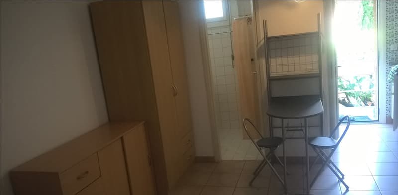 Accogliente appartamento ammobiliato di 1.5 locali nel cuore di Locarno (5)
