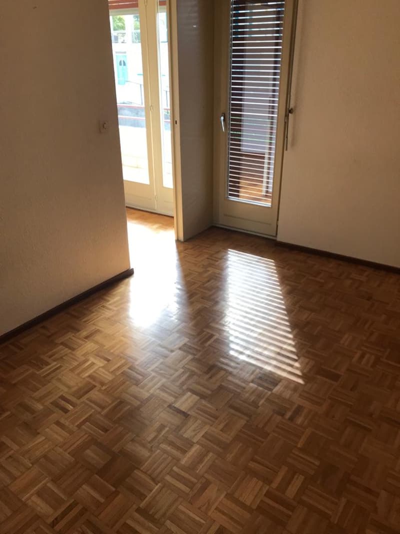 Appartamento 2 locali con balcone e vista panoramica a Vezia (3)