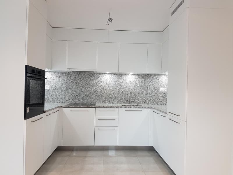 modern style, all white cabinets, granite countertops, stainless steel sink, built-in oven