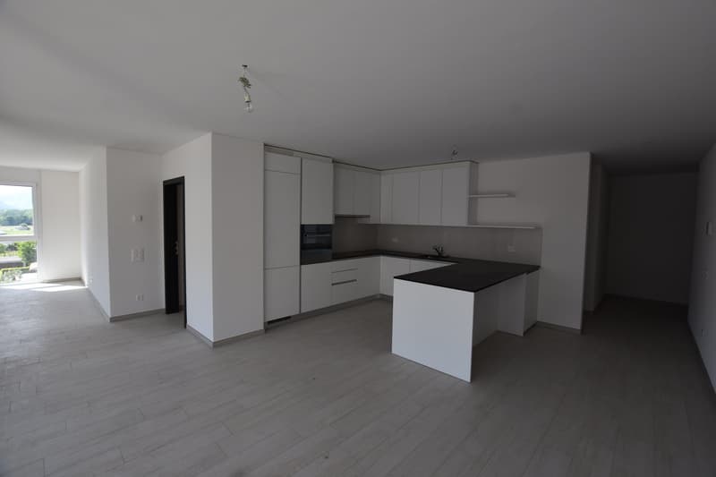 Affittasi appartamento 4.5 locali - Sementina (2)