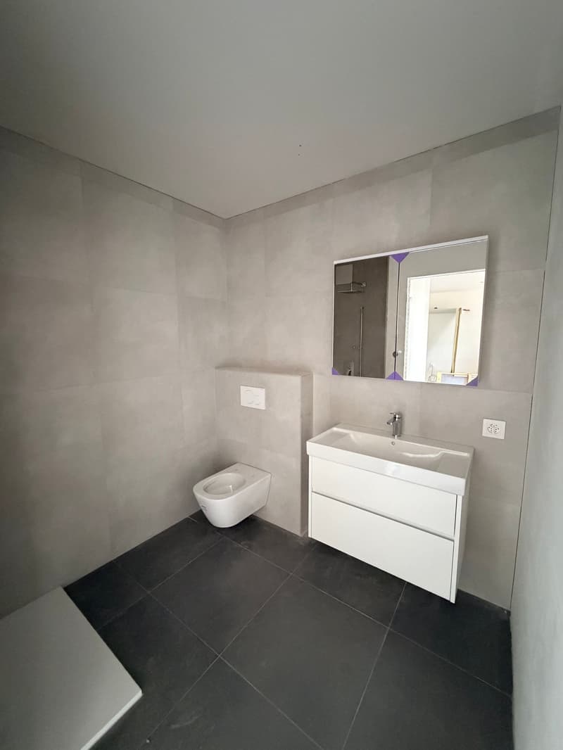 Affittasi nuovi appartamenti 2.5 locali - Res. Greta, Sementina (4)