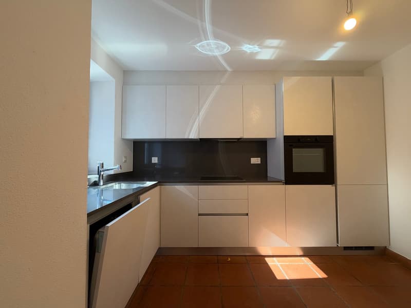 Duplex 3.5 locali con vista lago, anche residenza secondaria - Magadino (3)