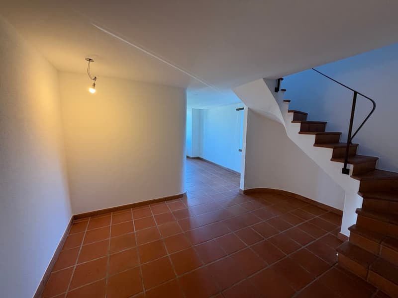 Duplex 3.5 locali con vista lago, anche residenza secondaria - Magadino (4)