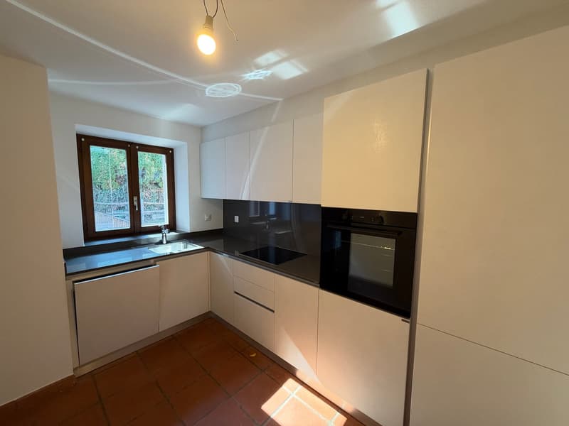 Duplex 3.5 locali con vista lago, anche residenza secondaria - Magadino (2)