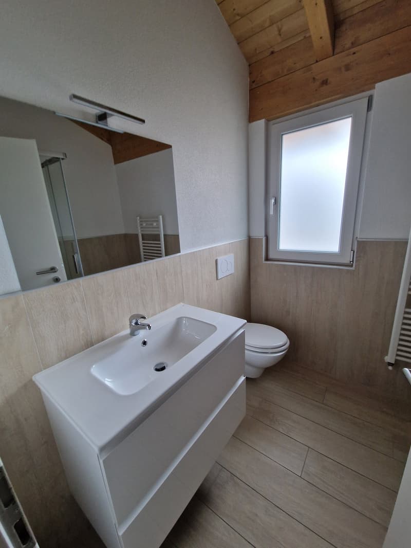 Bathroom with white sink, mirror, toilet, wooden floor, wooden ceiling, window