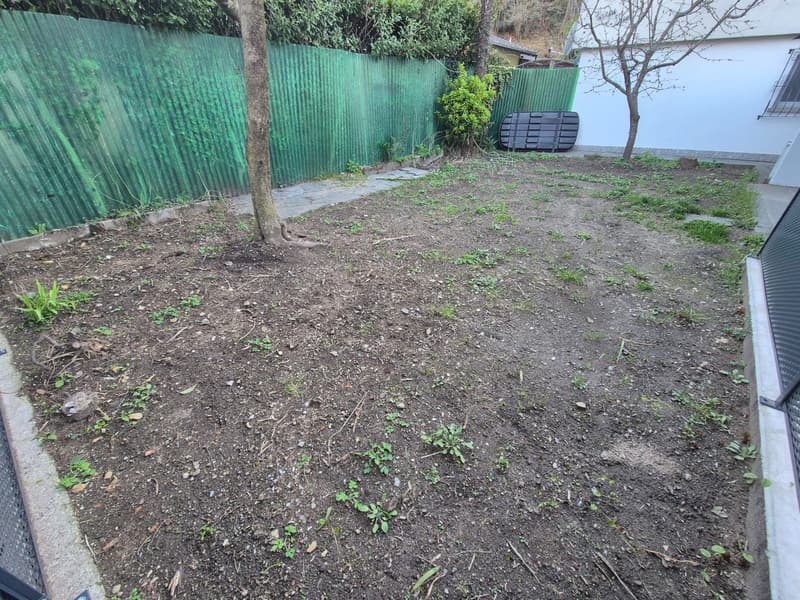 patio e giardino hobby a Losone indipendente e riservato (4)