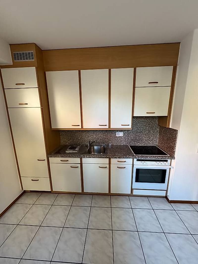Affittasi 2.5 locali a Gudo (6)