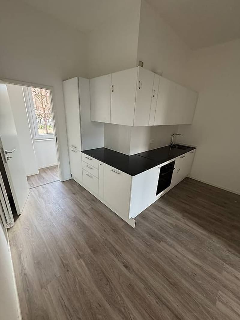 Affittasi 3.5 locali a Chiasso (10)