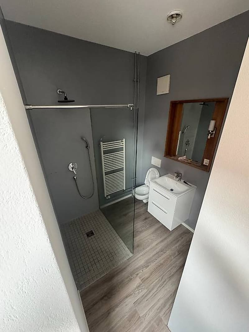 Affittasi 3.5 locali a Chiasso (9)