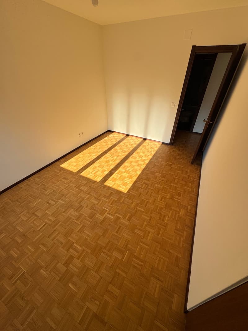 Luminoso appartamento di 2 1/2  locali con balcone e vista sulle montagne a Chiasso (4)