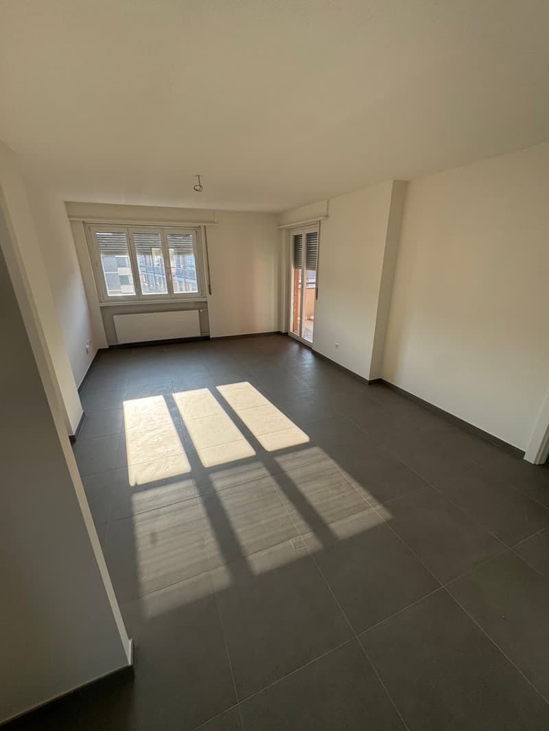 Attico in affitto a Chiasso – Vista panoramica e comfort moderno (3)
