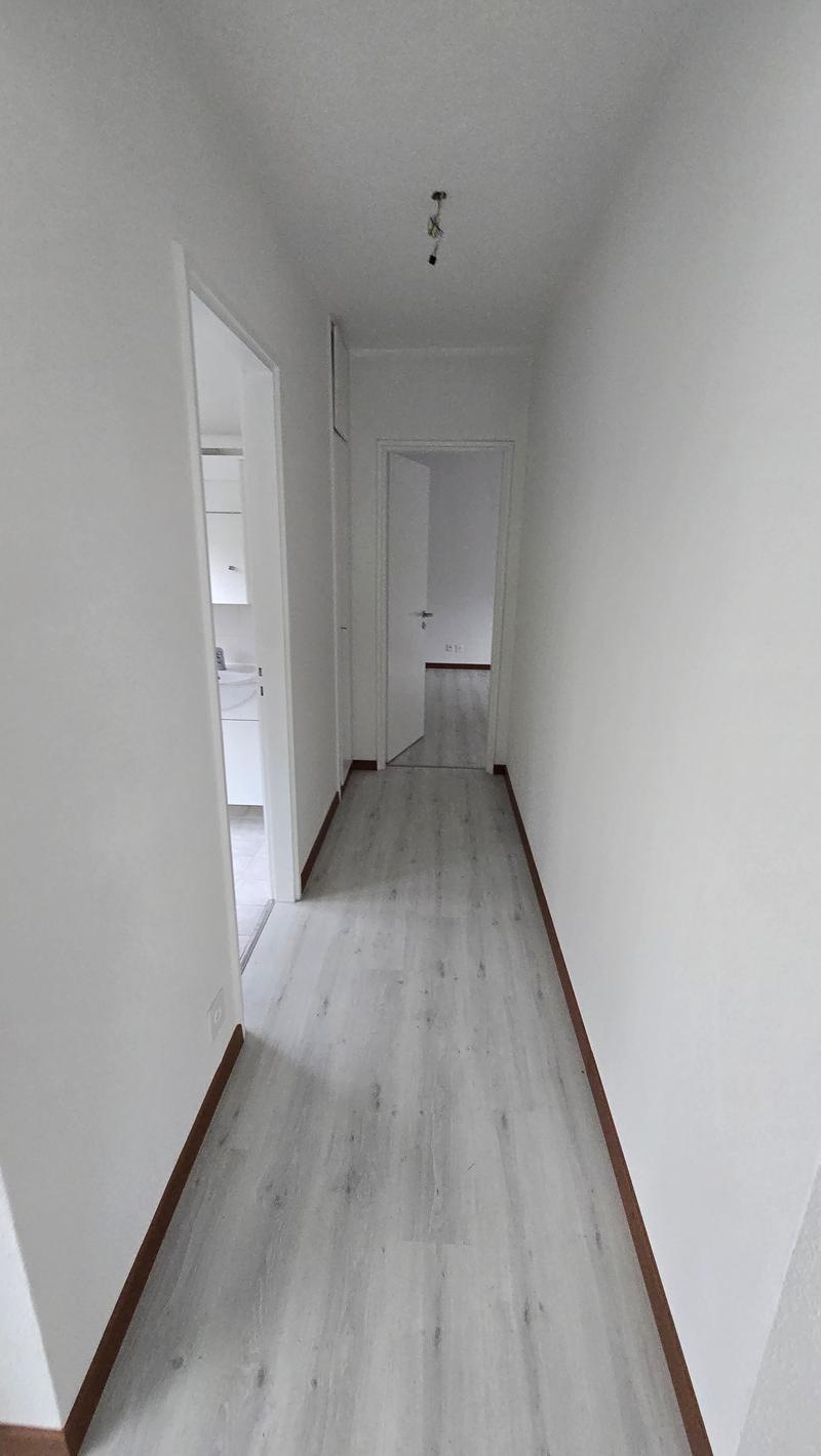 white walls, gray floor, white doors, clean, empty