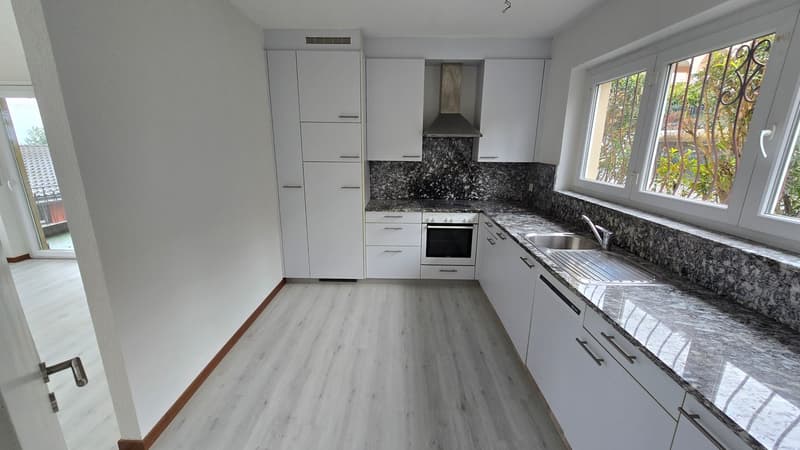 modern kitchen, white cabinetry, granite countertops, dishwasher, washing machine area