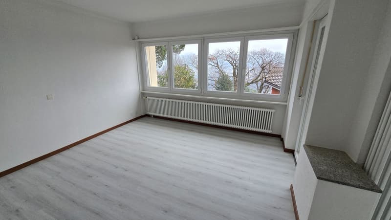 white walls, white vinyl flooring, large windows, heater