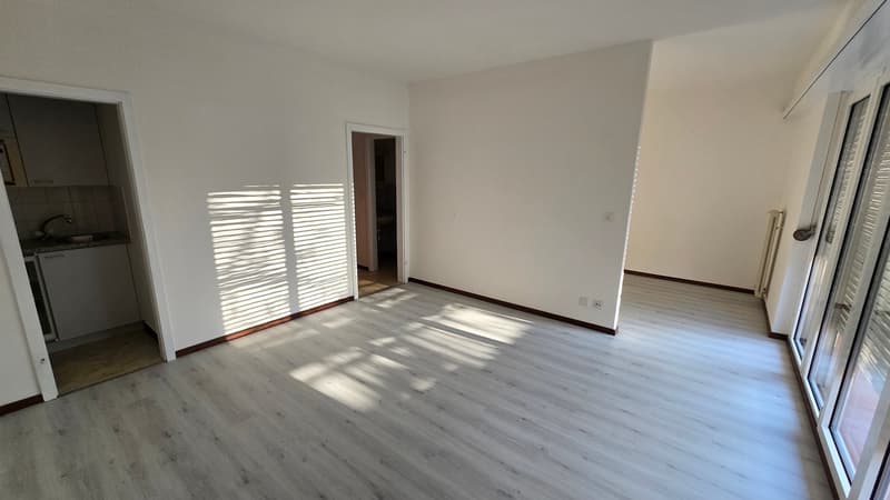 Accogliente monolocale con balcone a Vezia (4)
