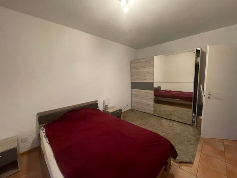 MASSAGNO - 2 locali (3)