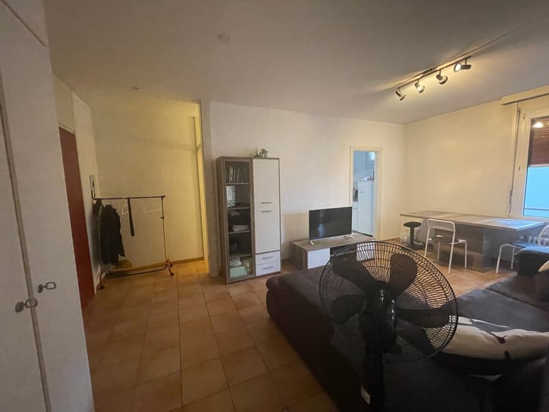 MASSAGNO - 2 locali (8)