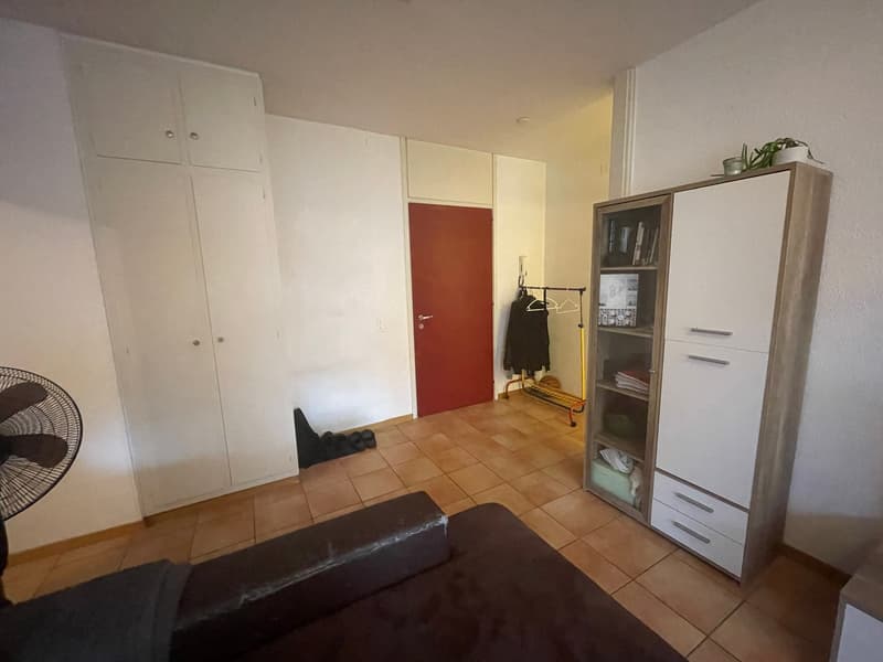 MASSAGNO - 2 locali (9)