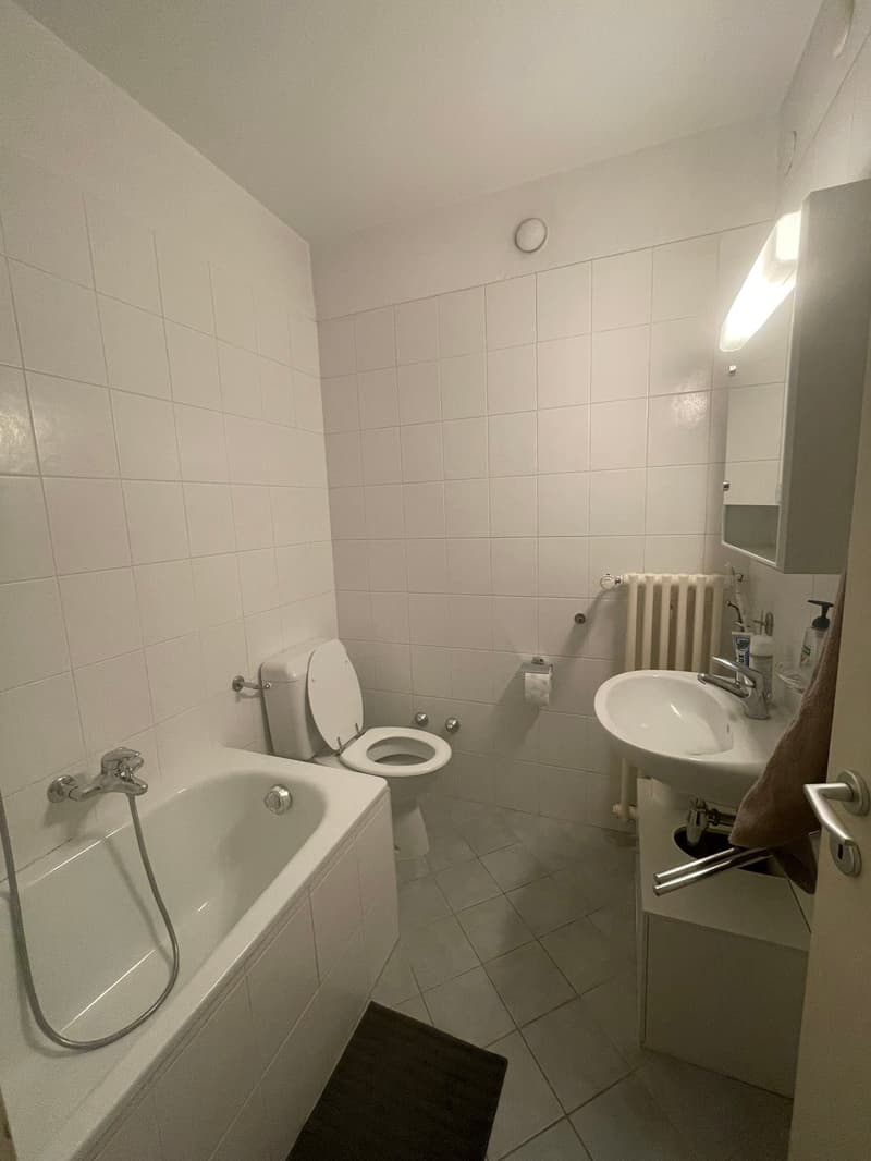 MASSAGNO - 2 locali (2)