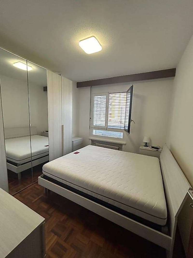 Appartamento 3.5 locali completamente arredato a Chiasso (4)