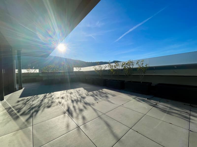 tiled floor, plants, clear sky, sun, shadows