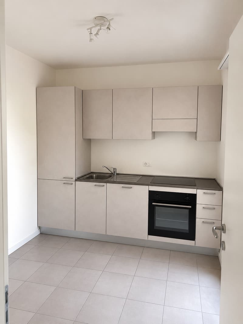 3.5 locali a Pregassona ristrutturato (202-10) (2)
