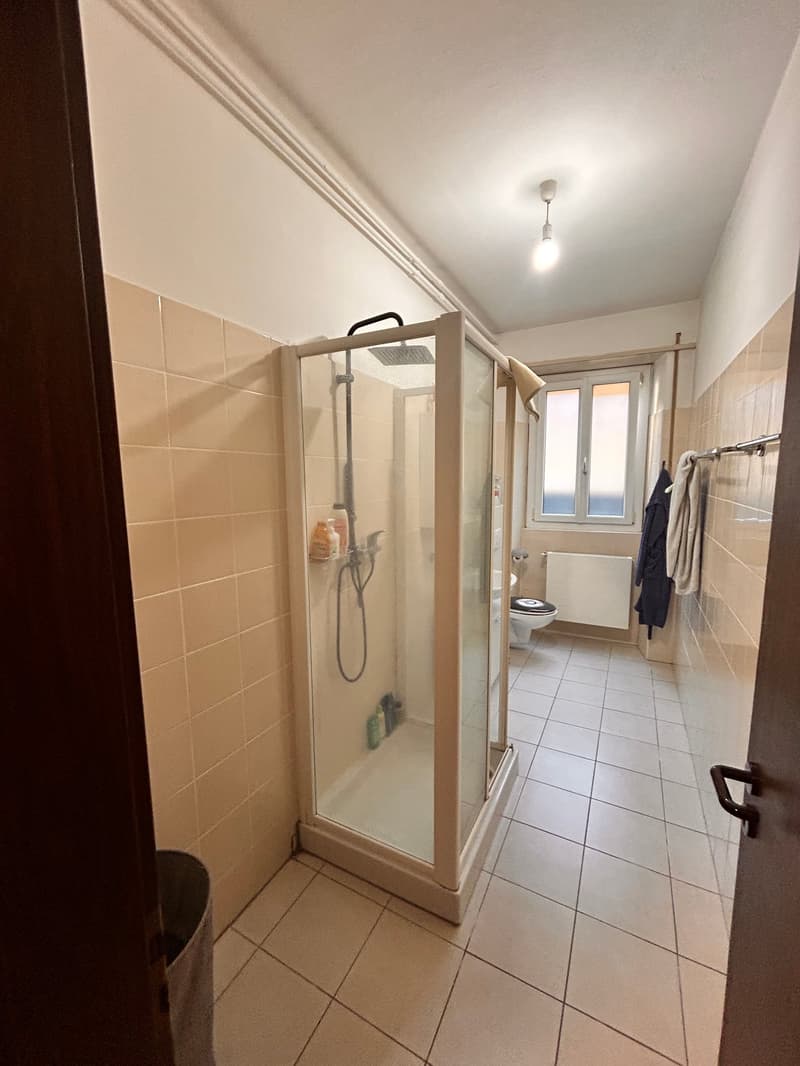 Appartamento 3 locali in affitto a Lugano – Via Monte Bré (7)
