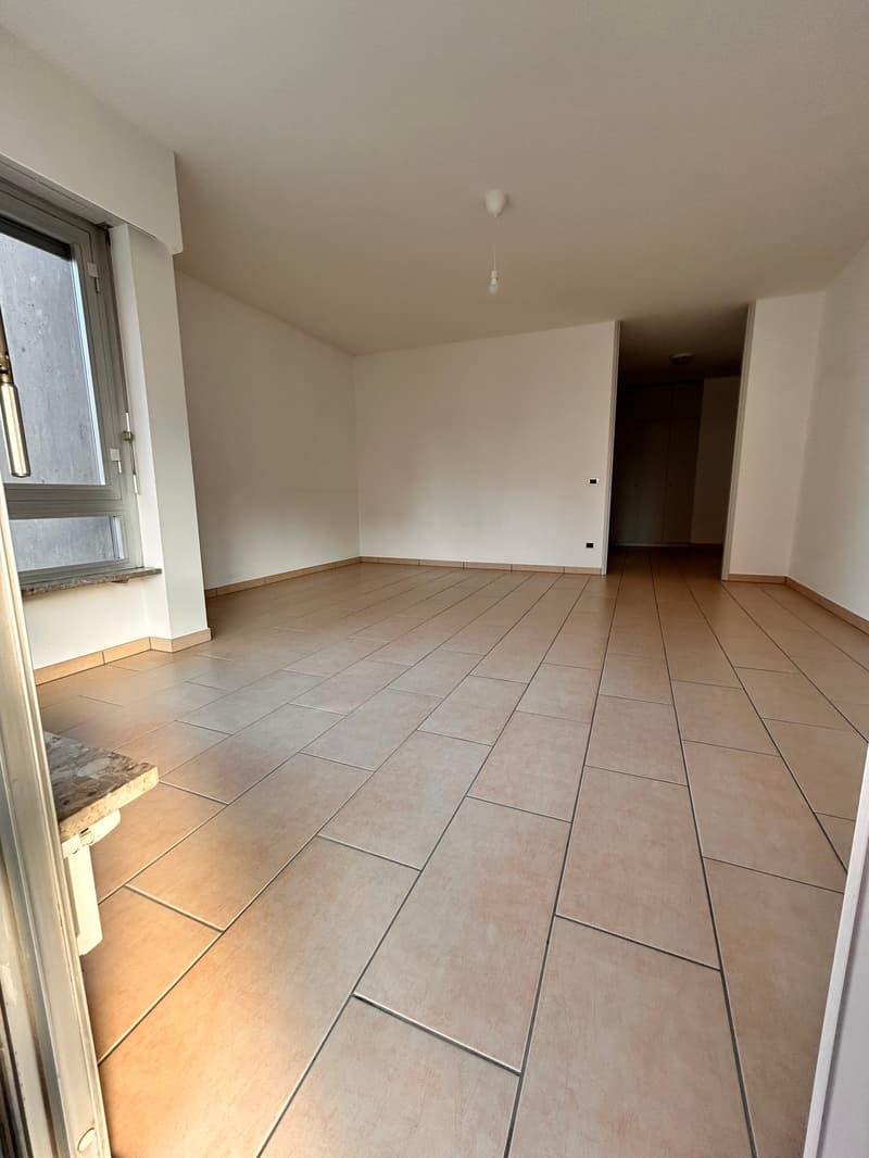 Luminoso appartamento di 1.5 locali con balcone a Viganello (4)